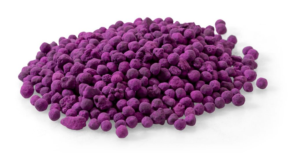cko charbon purple